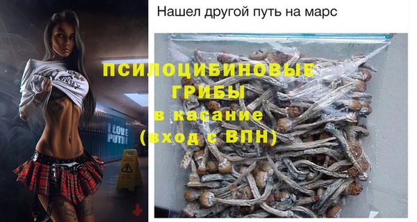 стаф Алексеевка