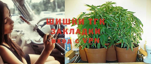 шишки Алзамай