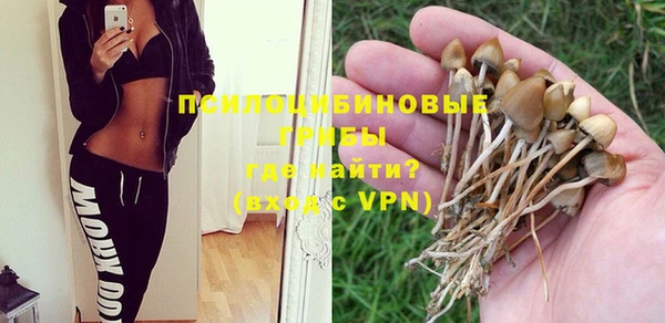 шишки Алзамай