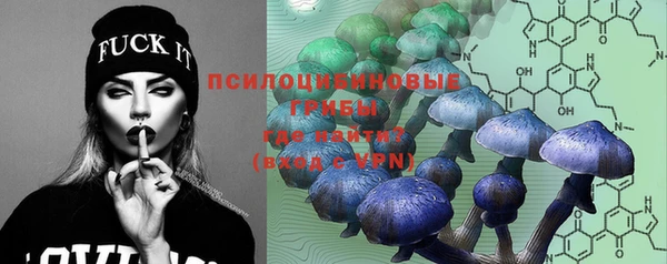 шишки Алзамай