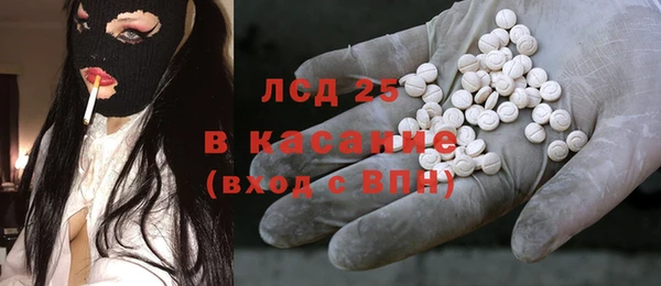 шишки Алзамай